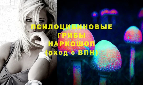 дмт Аркадак
