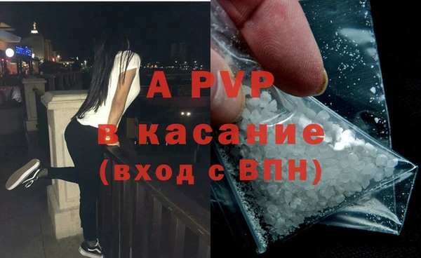 эйфоретик Арсеньев