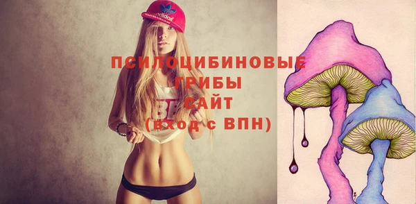 дмт Аркадак