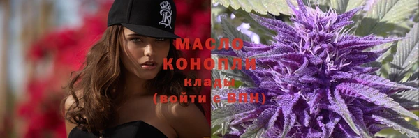дмт Аркадак