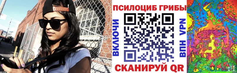 Псилоцибиновые грибы прущие грибы  где продают   даркнет какой сайт  Черкесск 